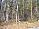 9999 Turkey Brush Trail 15 sold home in Hendersonville, SC