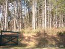 9999 Daylily Drive 12 sold home in Hendersonville, SC