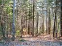 9999 Hosta Lane 24 sold home in Hendersonville, SC