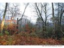 Lot 48 Wildflower sold home in Franklin, SC