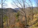 Lot 200 Wildflower sold home in Franklin, SC