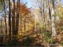 Lot 105 High Timber Trail Lo105 sold home in Mars Hill, SC