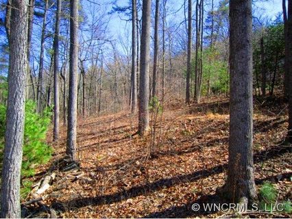 Lot C Sunny Ridge Drive sold lot in Sunny Ridge, Asheville, NC