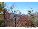 Lot 4 Wildflower sold home in Franklin, SC