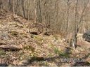 Lot 10 High Cliff Drive sold home in Waynesville, SC