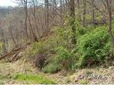 Lot 26 High Spring Trail sold home in Waynesville, SC