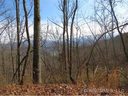 Lot 75 Wildflower sold home in Franklin, SC