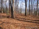 150 Hawkins Hollow Road 21 sold home in Pisgah Forest, SC