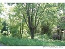 6 Club Street sold home in Asheville, SC