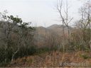 Lot 83 Wildflower sold home in Franklin, SC