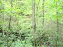 11 Long Branch Road sold home in Maggie Valley, SC