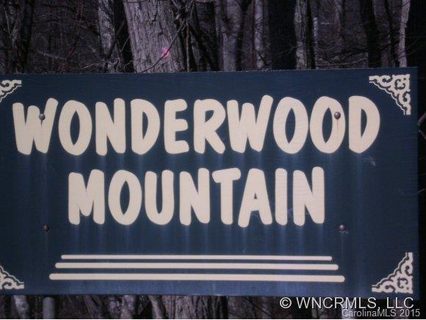 A16 17 Wonderwood Mountain