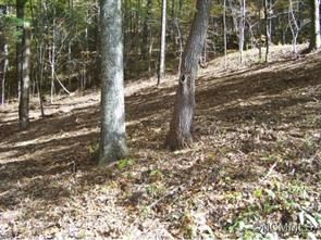142 Rambling Ridge Rd 22