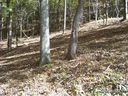 142 Rambling Ridge Rd 22 sold home in Asheville, SC