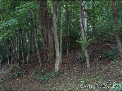 Lot 203 Forest Dr