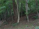 Lot 203 Forest Dr sold home in Maggie Valley, SC