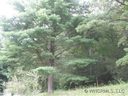 Lot Ii Ivy Cove Road II sold home in Fairview, SC