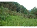 0000 Laurel Valley Road sold home in Mars Hill, SC