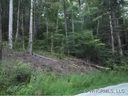 0 Old Mill Road 31 sold home in Hendersonville, SC