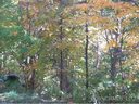 324 Cardinal Lane sold home in Waynesville, SC