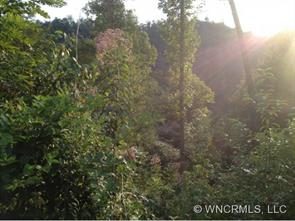 361 Moonshiners Trail
