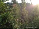 361 Moonshiners Trail sold home in Marshall, SC