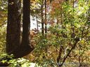 283 Rowland Drive sold home in Hendersonville, SC