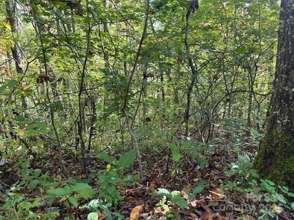 H16 H17 Shady Grove Road active home in Cedar Creek Farms, Tuckasegee, NC