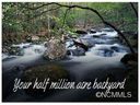 4375 Ne Us 25 70 Highway sold home in Marshall, SC