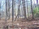 000 Overlook Court sold home in Waynesville, SC