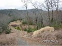 606 Stonefly Drive Lot 150 sold home in Mills River, SC