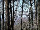 Lot 5 Miller Mountain Road Lot #5 sold home in Saluda, SC