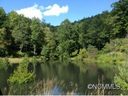 552 Stonefly Drive Lot 151 sold home in Mills River, SC