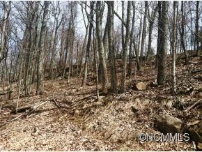 Lot 27 Chinquapin Drive
