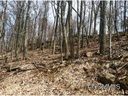Lot 27 Chinquapin Drive sold home in Mills River, SC