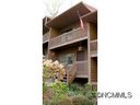 303 Buck Cove Terrace sold home in Asheville, SC