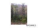 Lot 487 Maryland Place Place sold home in Montreat, SC