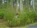 27 Country Cove Court sold home in Leicester, SC