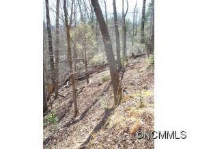 9 Lurewoods Forest Road