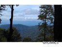 99 Cloister Cove 25 sold home in Asheville, SC