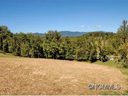 41 Bradford Vistas Lot 6 sold home in Fletcher, SC
