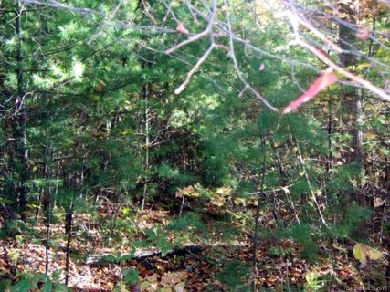 Lot 85a Doubletree Lane 85A