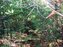 Lot 85a Doubletree Lane 85A sold home in Almond, SC