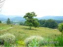 Lot 3 Smith Knolls Road sold home in Fairview, SC