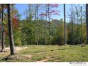 Lot 57 Silverglen sold home in Hendersonville, SC