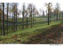 Lot 74 Silverglen Way sold home in Hendersonville, SC