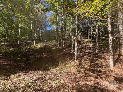 9 Susanna Cove active home in Trillium Glen, Mars Hill, NC