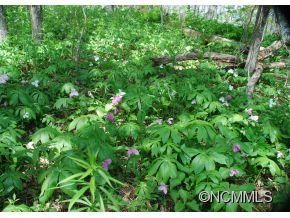 Flat Top Mountain sold lot in Flat Top Mountain, Fairview, NC