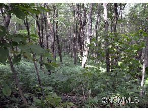 9999 Flattop Mountain Rd F-5 sold lot in Flat Top Mountain, Fairview, NC