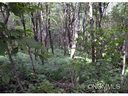 9999 Flattop Mountain Rd F-5 sold home in Fairview, SC